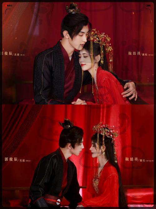 天天看片免费高清观看的相关介绍